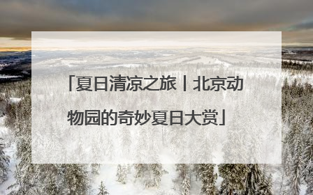 夏日清凉之旅丨北京动物园的奇妙夏日大赏