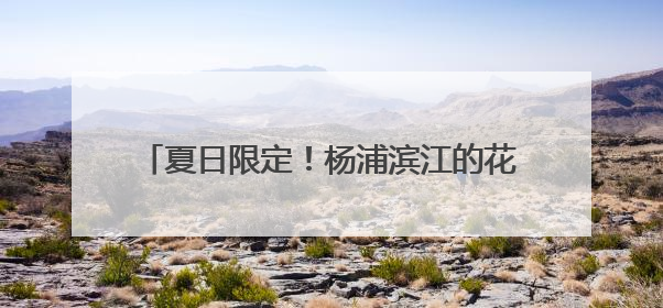 夏日限定！杨浦滨江的花海超出片，速来打卡→