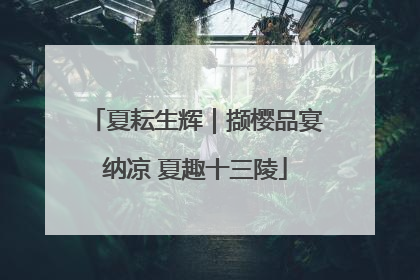 夏耘生辉｜撷樱品宴纳凉 夏趣十三陵