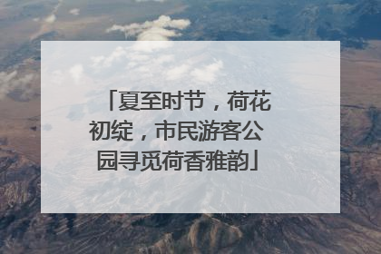 夏至时节，荷花初绽，市民游客公园寻觅荷香雅韵