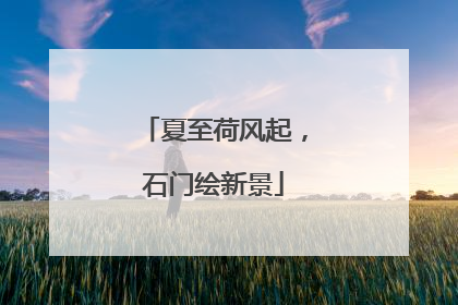 夏至荷风起，石门绘新景