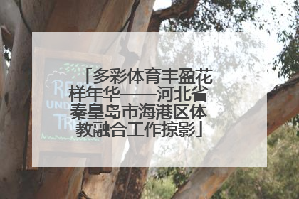 多彩体育丰盈花样年华——河北省秦皇岛市海港区体教融合工作掠影