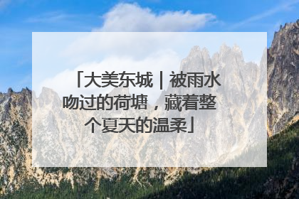 大美东城｜被雨水吻过的荷塘，藏着整个夏天的温柔