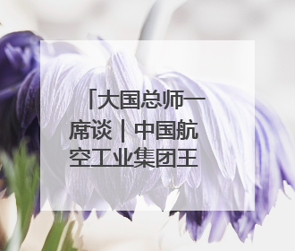 大国总师一席谈｜中国航空工业集团王永庆：“创新是我们的基因密码”