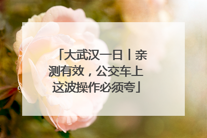 大武汉一日丨亲测有效，公交车上这波操作必须夸