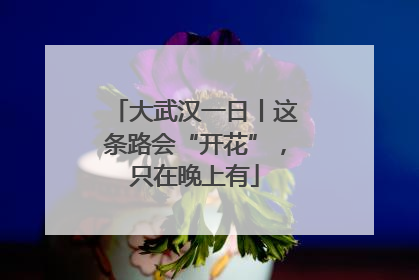 大武汉一日丨这条路会“开花”，只在晚上有
