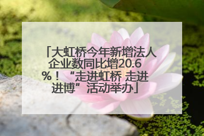 大虹桥今年新增法人企业数同比增20.6%！“走进虹桥 走进进博”活动举办