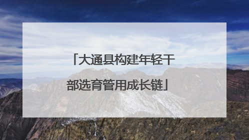 大通县构建年轻干部选育管用成长链