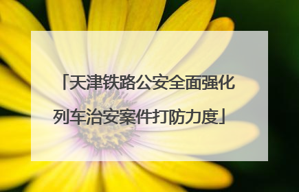 天津铁路公安全面强化列车治安案件打防力度