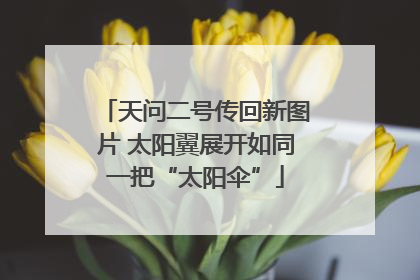 天问二号传回新图片 太阳翼展开如同一把“太阳伞”