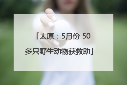 太原：5月份 50多只野生动物获救助