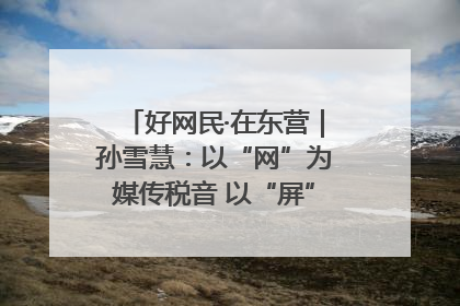 好网民·在东营｜孙雪慧：以“网”为媒传税音 以“屏”为介助发展