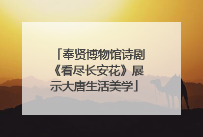 奉贤博物馆诗剧《看尽长安花》展示大唐生活美学