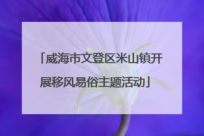 威海市文登区米山镇开展移风易俗主题活动