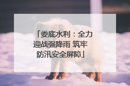 娄底水利：全力迎战强降雨 筑牢防汛安全屏障