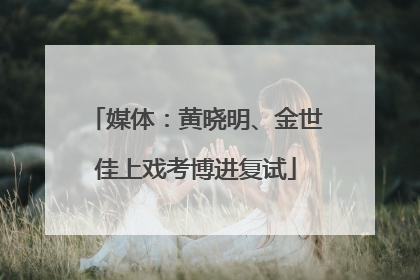 媒体：黄晓明、金世佳上戏考博进复试