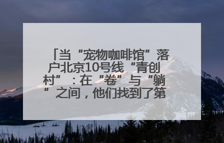 当“宠物咖啡馆”落户北京10号线“青创村”：在“卷”与“躺”之间，他们找到了第三种生活公式