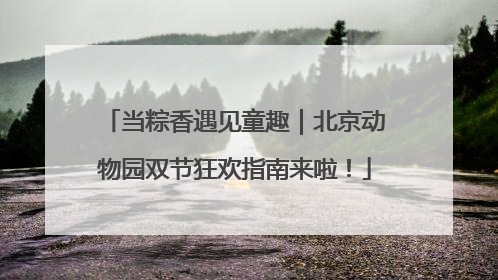 当粽香遇见童趣｜北京动物园双节狂欢指南来啦！