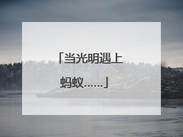 当光明遇上蚂蚁……