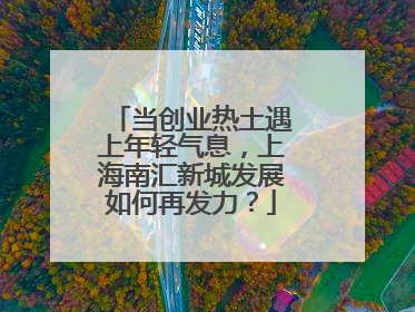 当创业热土遇上年轻气息，上海南汇新城发展如何再发力？