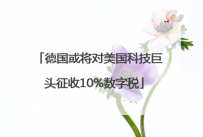 德国或将对美国科技巨头征收10%数字税