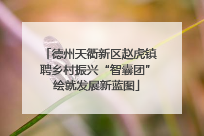 德州天衢新区赵虎镇聘乡村振兴“智囊团” 绘就发展新蓝图