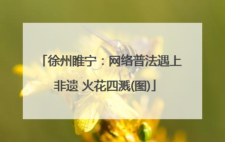 徐州睢宁：网络普法遇上非遗 火花四溅(图)
