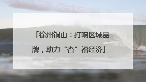 徐州铜山：打响区域品牌，助力“杏”福经济