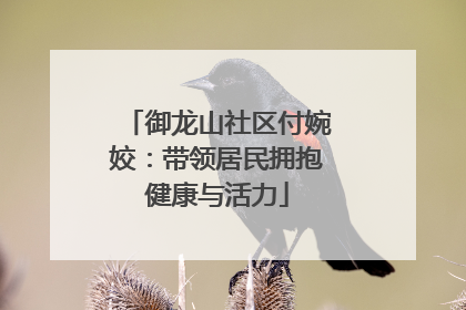 御龙山社区付婉姣：带领居民拥抱健康与活力