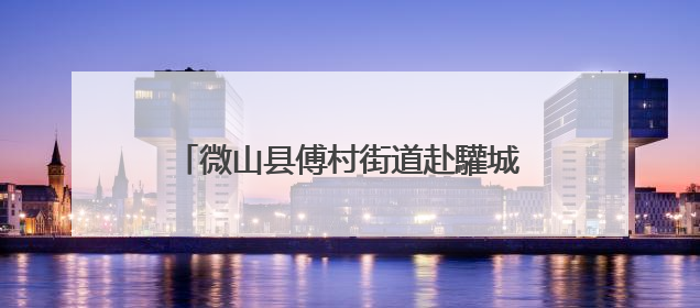微山县傅村街道赴驩城镇开展观摩学习活动