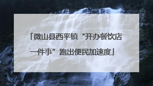 微山县西平镇“开办餐饮店一件事”跑出便民加速度