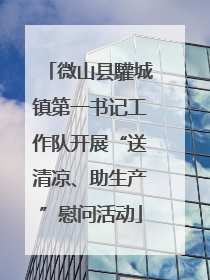 微山县驩城镇第一书记工作队开展“送清凉、助生产”慰问活动