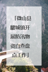 微山县驩城镇开展防汛物资自查盘点工作