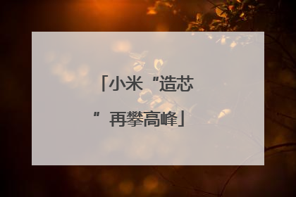 小米“造芯”再攀高峰