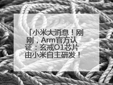 小米大消息！刚刚，Arm官方认证：玄戒O1芯片由小米自主研发！雷军此前称已开始大规模量产