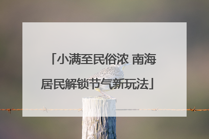 小满至民俗浓 南海居民解锁节气新玩法