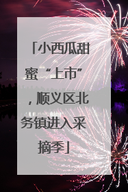小西瓜甜蜜“上市”，顺义区北务镇进入采摘季