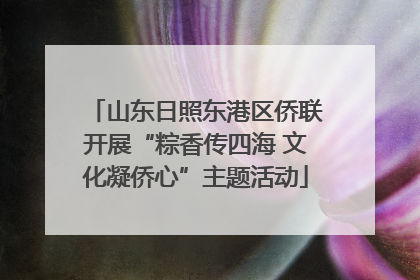 山东日照东港区侨联开展“粽香传四海 文化凝侨心”主题活动
