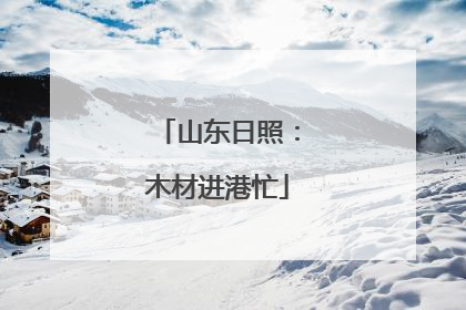 山东日照：木材进港忙
