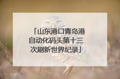 山东港口青岛港自动化码头第十三次刷新世界纪录