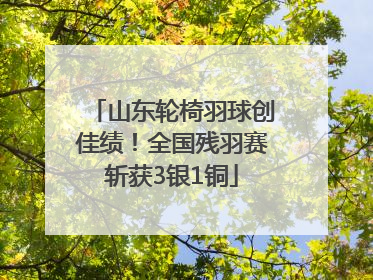 山东轮椅羽球创佳绩！全国残羽赛斩获3银1铜