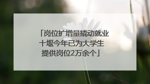 岗位扩增量撬动就业 十堰今年已为大学生提供岗位2万余个
