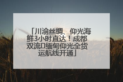 川渝丝绸、仰光海鲜3小时直达！成都双流⇌缅甸仰光全货运航线开通