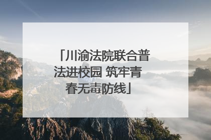 川渝法院联合普法进校园 筑牢青春无毒防线