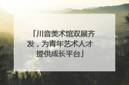 川音美术馆双展齐发，为青年艺术人才提供成长平台