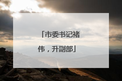 市委书记褚伟，升副部