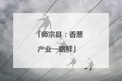 师宗县：香葱产业一路鲜