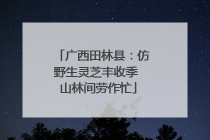 广西田林县：仿野生灵芝丰收季 山林间劳作忙