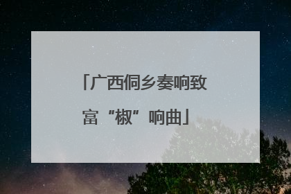 广西侗乡奏响致富“椒”响曲