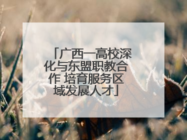 广西一高校深化与东盟职教合作 培育服务区域发展人才